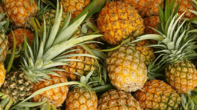 Ilustrasi nanas.