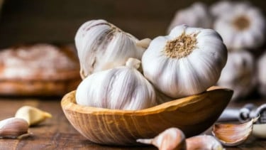 Ilustrasi bawang putih.