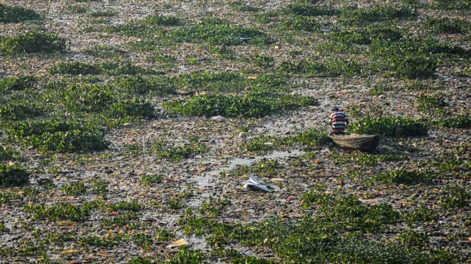 Warga mencari ikan diantara sampah dan eceng gondok di Sungai Citarum Kawasan Batujajar, Kabupaten Bandung Barat, Jawa Barat, Selasa, 26 Desember 2018.