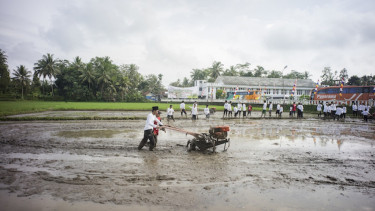 Ilustrasi petani. 