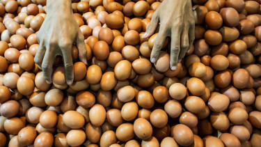 Pedagang merapikan telur di Pasar Senen, Jakarta