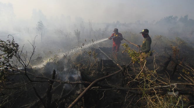 (FOTO ILUSTRASI) Pemadaman kebakaran hutan dan lahan (karhutla).