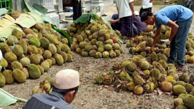 Warga desa di Jambi menyumbang durian untuk pembangunan masjid.