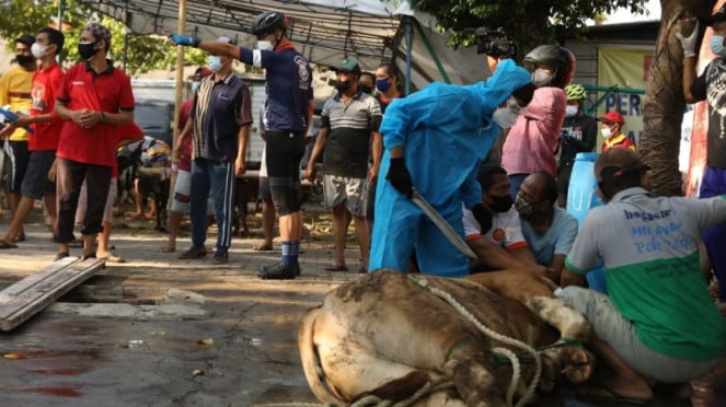 Gubernur Jawa Tengah, Ganjar Pranowo, memantau pemotongan hewan kurban.