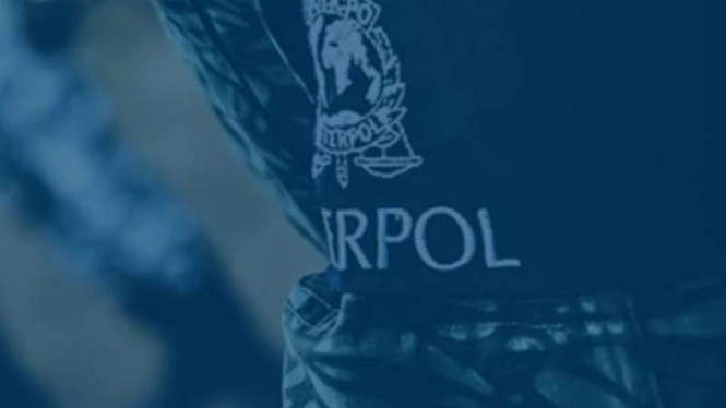 Interpol (ilustrasi)
