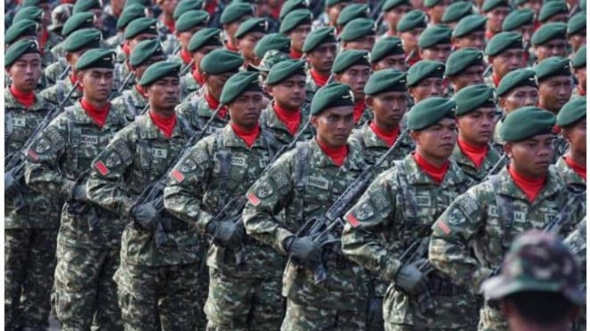 Ilustrasi TNI Tidak ada Hijau dan Merah Putih