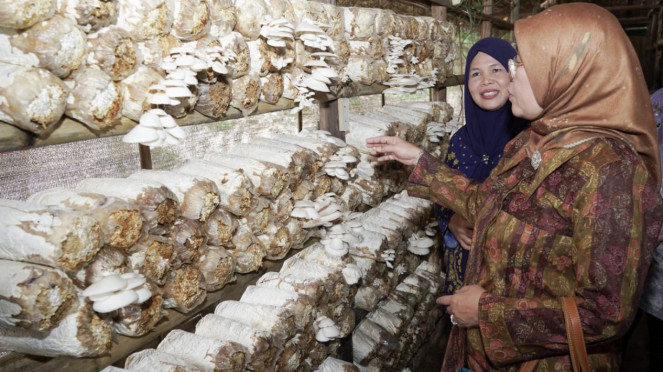 Kemenperin fokus jalankan kebijakan hilirisasi 