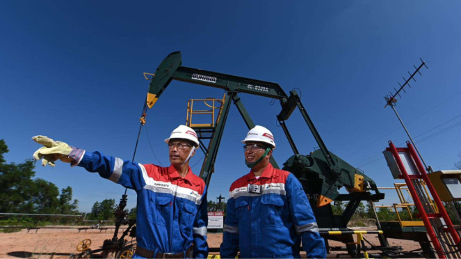 Ilustrasi pegawai Pertamina