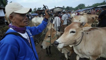Jual Beli Hewan Kurban Jelang Hari Raya Idul Adha