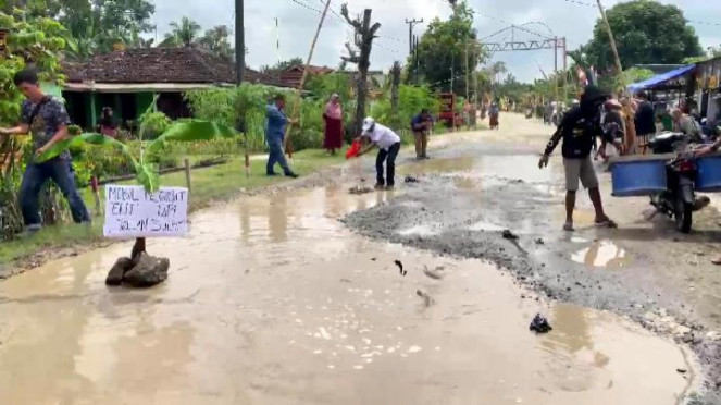Jalan Rusak Tak Kunjung Diperbaiki, Warga Lampung Tabur 40 Kg Ikan Lele
