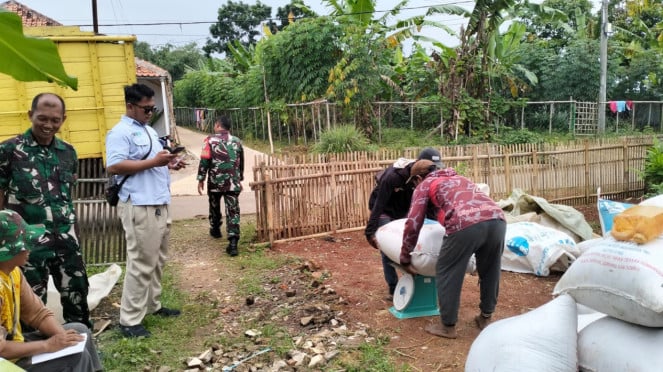 VIVA Militer: Prajurit Kodim Purwakarta dampingi Bulog borong gabah dan beras pe