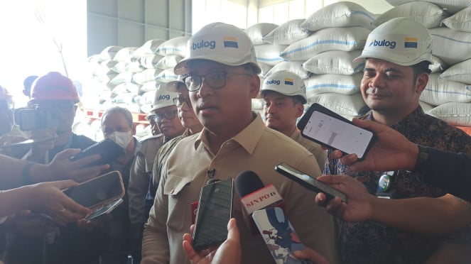 Wakil Menteri Pertanian Sudaryono 