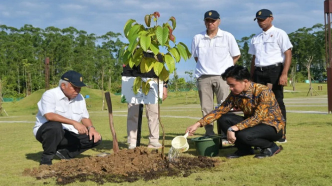 Wakil Presiden (Wapres) Gibran Rakabuming Raka menanam pohon di IKN