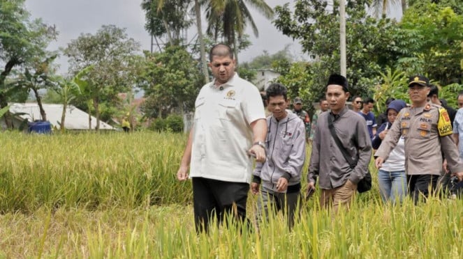 Anggota DPR RI Fraksi Partai NasDem, Rajiv
