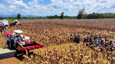 Presiden Prabowo Panen Raya Jagung di Bengkayang