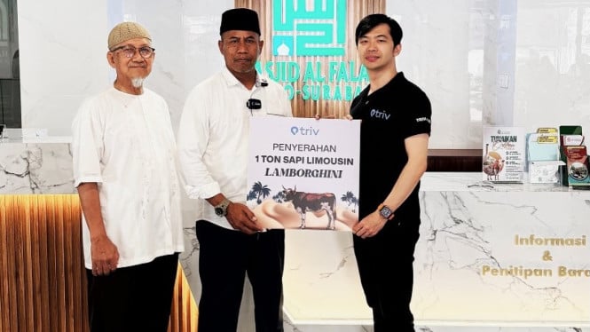 Kurban sapi limousin diberi nama Lamborghini.