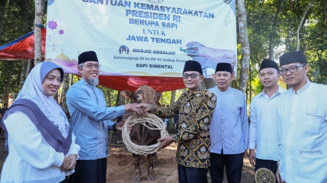 Sapi Kurban Presiden Republik Indonesia