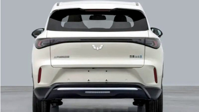 Wuling Bingo S