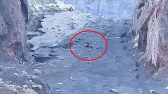 Visual pendaki asal Brasil terjatuh di jurang saat menuju puncak Gunung Rinjani