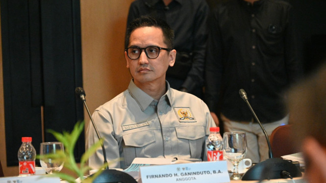 Anggota Komisi VI DPR RI, Firnando H. Ganinduto