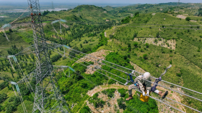Ilustrasi Petugas PLN yang sedang melakukan pemeliharaan jaringan transmisi