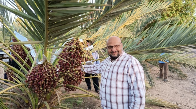 Madani, Production Manager Castle Farms di Perkebunan Kurma di Madinah 
