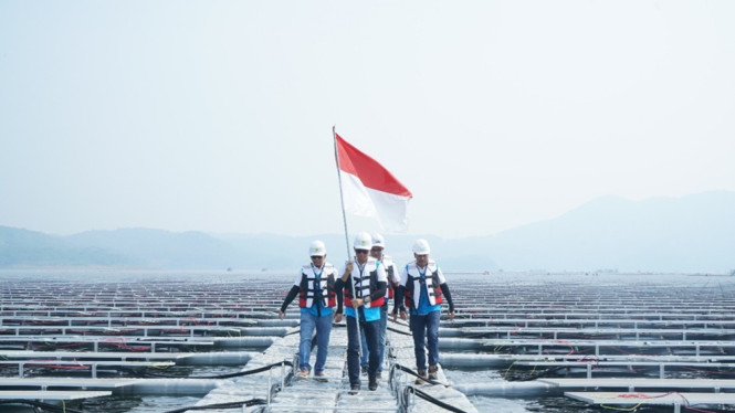 Green Financing BRI Terus Tumbuh Capai Rp89,9 Triliun