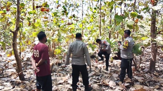 Polisi Gerebek Judi Sabung Ayam di Kupang