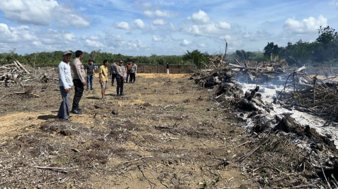 Pembakaran lahan di Kuantan Singingi