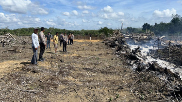 Pembakaran lahan di Kuantan Singingi
