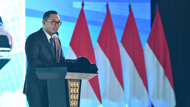 Wakil Menteri Investasi dan Hilirisasi, Todotua Pasaribu