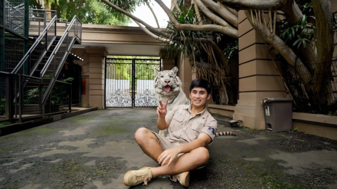 Alshad Ahmad mengurus harimau