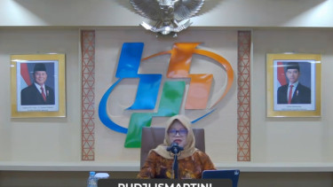 Pudji Ismartini, Deputi Bidang Statistik Distribusi dan Jasa BPS