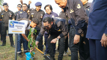 Partai Nasdem melakukan kegiatan penanaman pohon