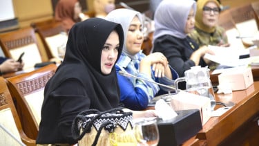 Anggota Komisi I DPR RI Sarifah Ainun Jariyah
