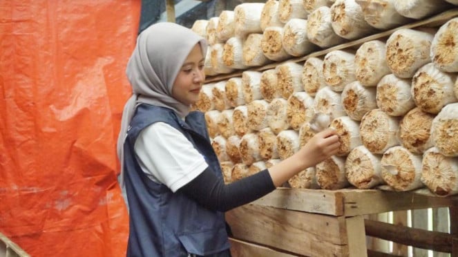 Holding Danareksa.