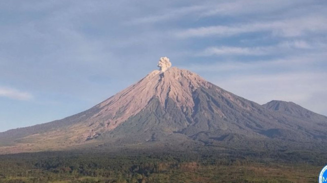 Gunung Semeru erupsi dengan tinggi letusan 700 meter di atas puncak