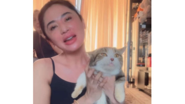 Kucing Eko Patrio dirawat Dewi Perssik