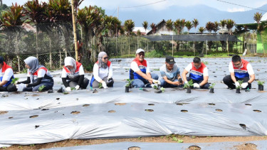Pertamina berdayakan desa melalui program unggulan DEB