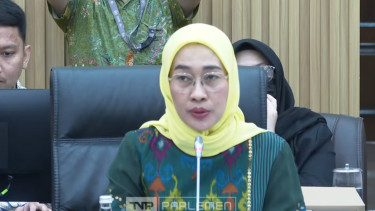 Ketua Komisi VI DPR Anggia Ermarini