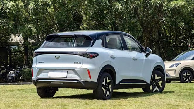 Wuling Binguo S