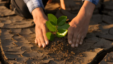 Pemuda menanam bibit pohon @ 2020 Piyaset [https://s.alongwalker.co/media/id/aHR0cHM6Ly93d3cuc2h1dHRlcnN0b2Nr-LmNvbS9pbWFnZS1waG90by9oYW5kLXlv-dW5nLXBlb3BsZS1wbGFudGluZy1zbWFs-bC1wbGFudC0xNzQ2NTE1MzMwXQ/e19cb03cb025fafcaaf7ba3e6a4f1ec8.jpg