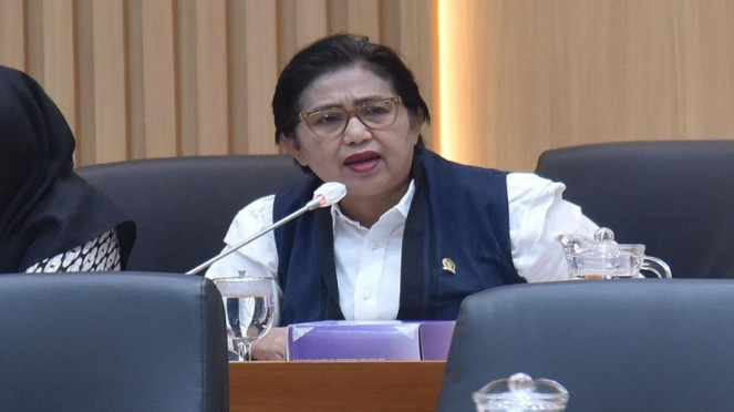 Politikus NasDem Irma Suryani Chaniago