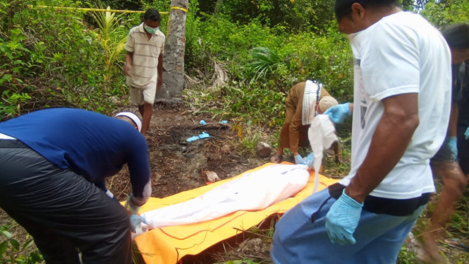 Kerangka mayat manusia ditemukan di kebun kelapa, Seram Bagian Barat, Maluku