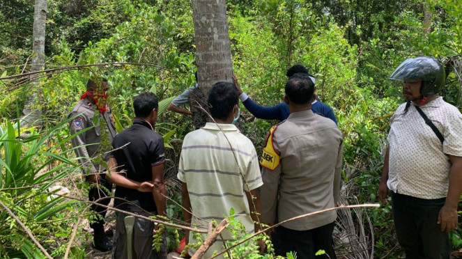 Kerangka mayat manusia ditemukan di kebun kelapa, Seram Bagian Barat, Maluku