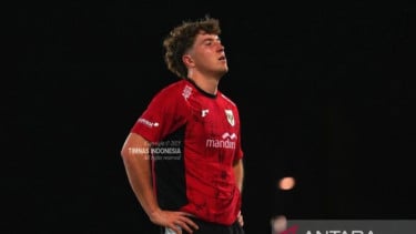 Striker Timnas Indonesia, Ole Romeny