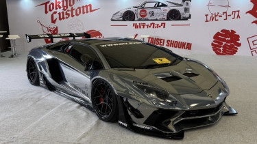 Lamborghini Aventador Raffi Ahmad