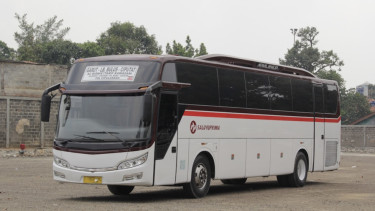 Bus Primajasa