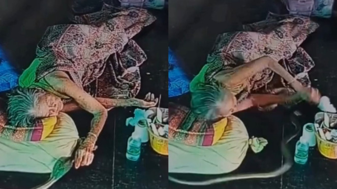 Viral! Detik-detik Menegangkan Lansia Digigit Ular Cobra Saat Tertidur Pulas