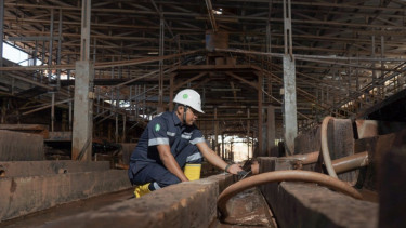 PT Timah mengungkapkan hasil kinerja terkini 